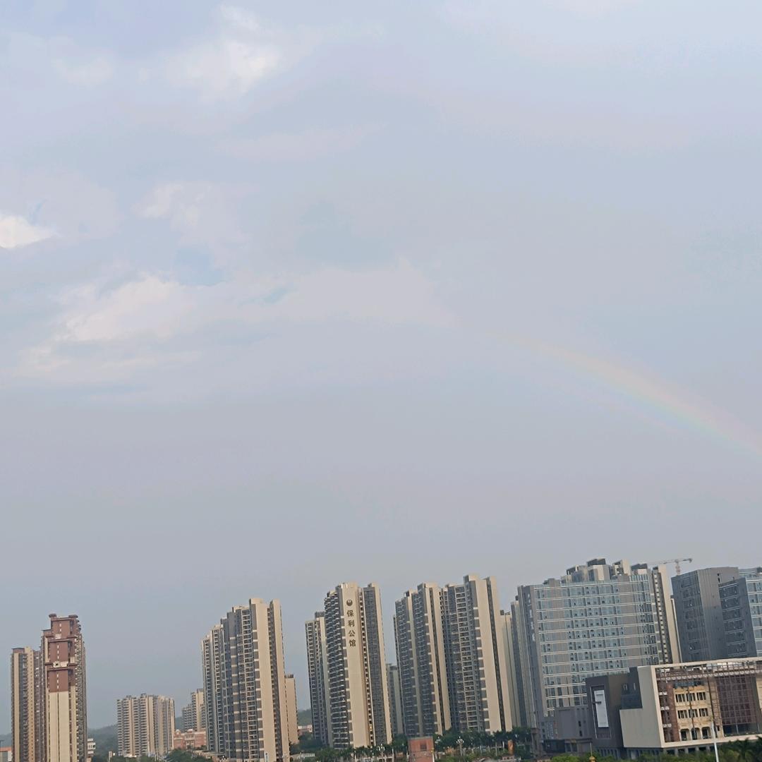 小柠檬