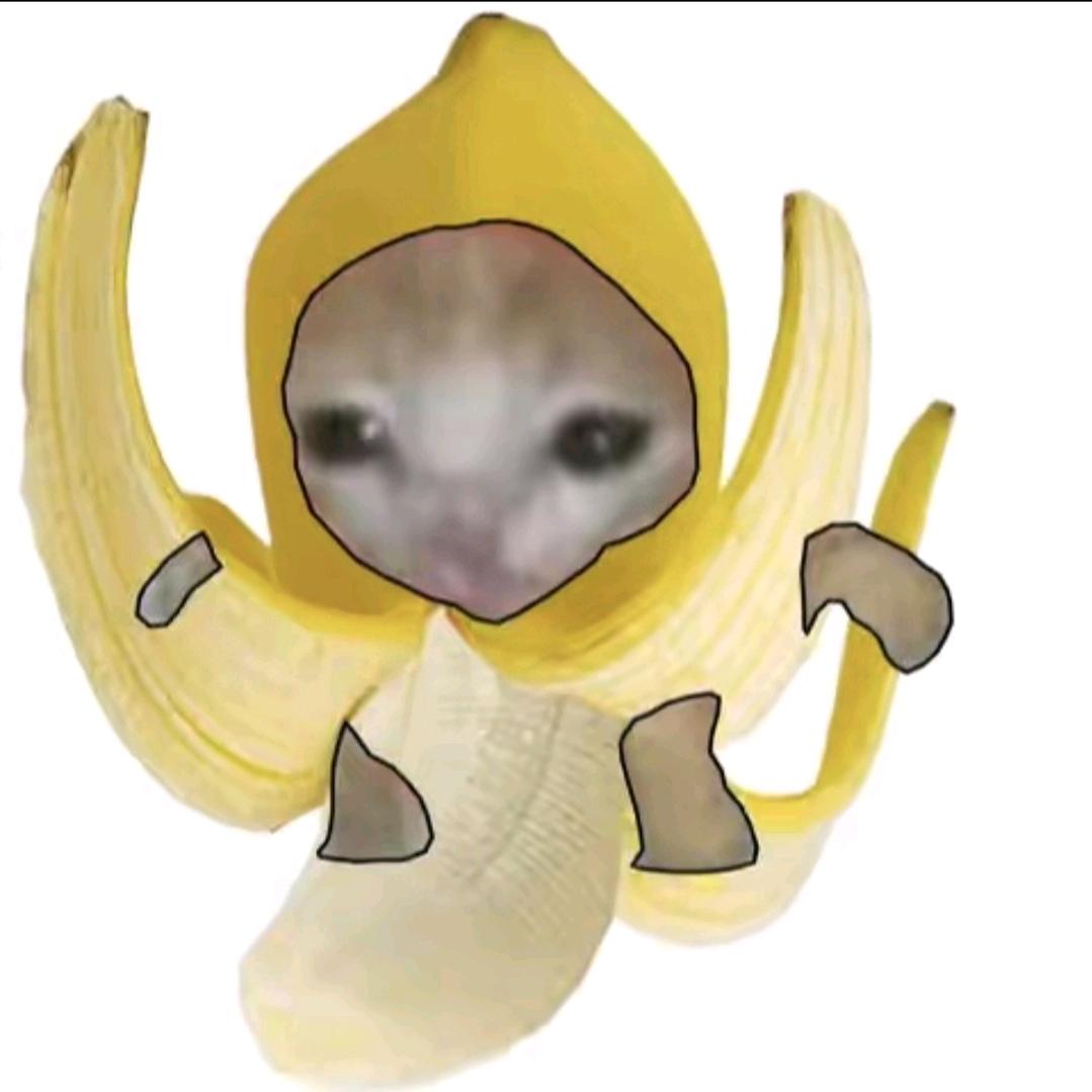 08.
