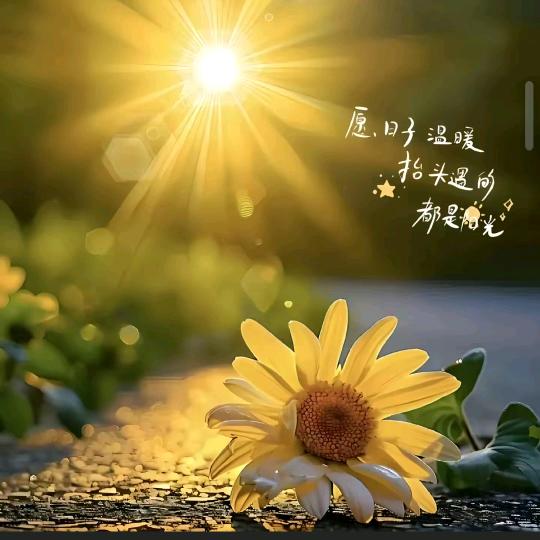 ʕ•̫: ℒ傻丫头࿐🦋