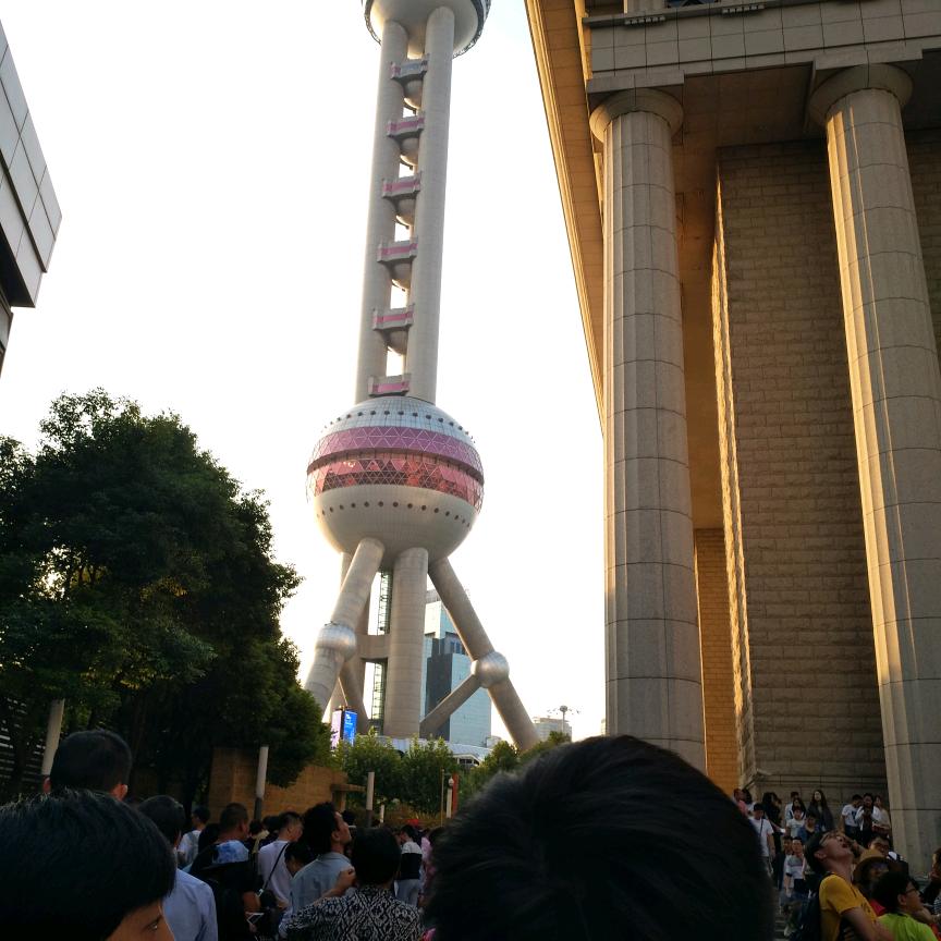 紫色辣椒