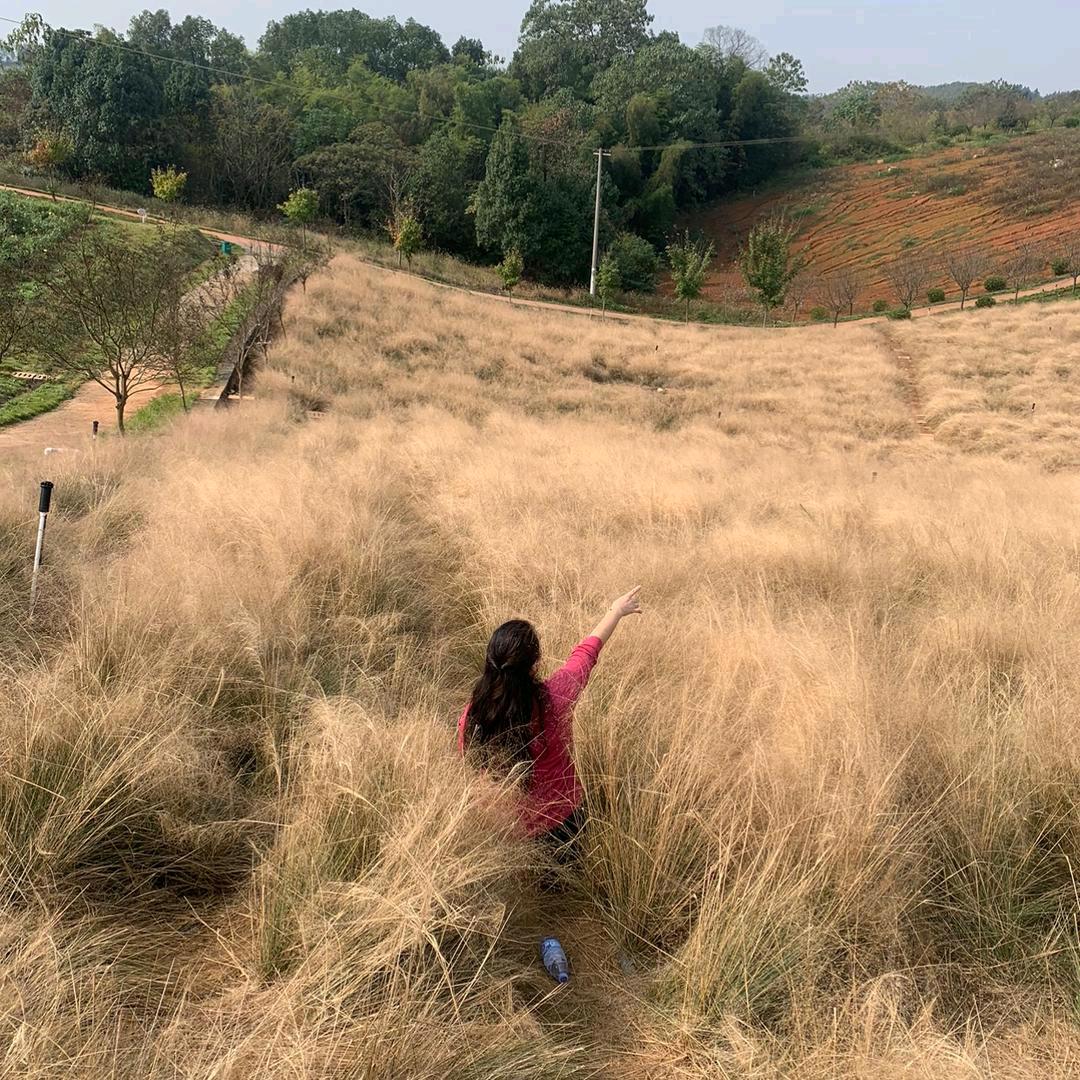 ❤️❤️宝贵❤️❤️