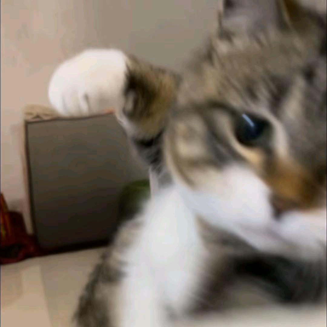 千年暗室，一灯即明