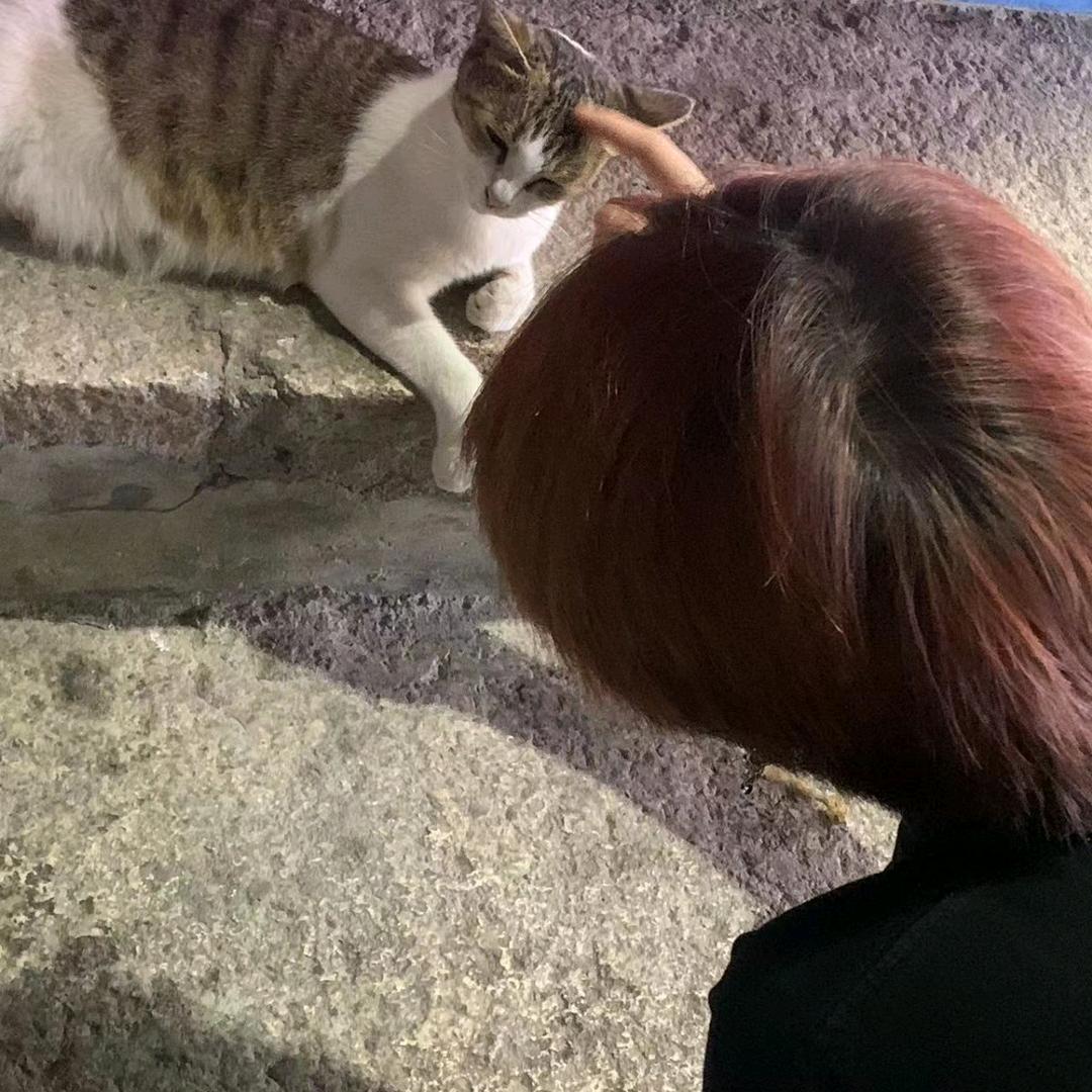 崽阿