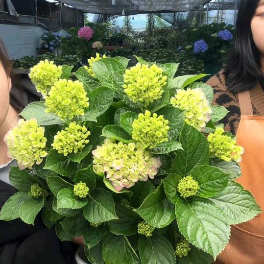 靠谁不如靠自巳