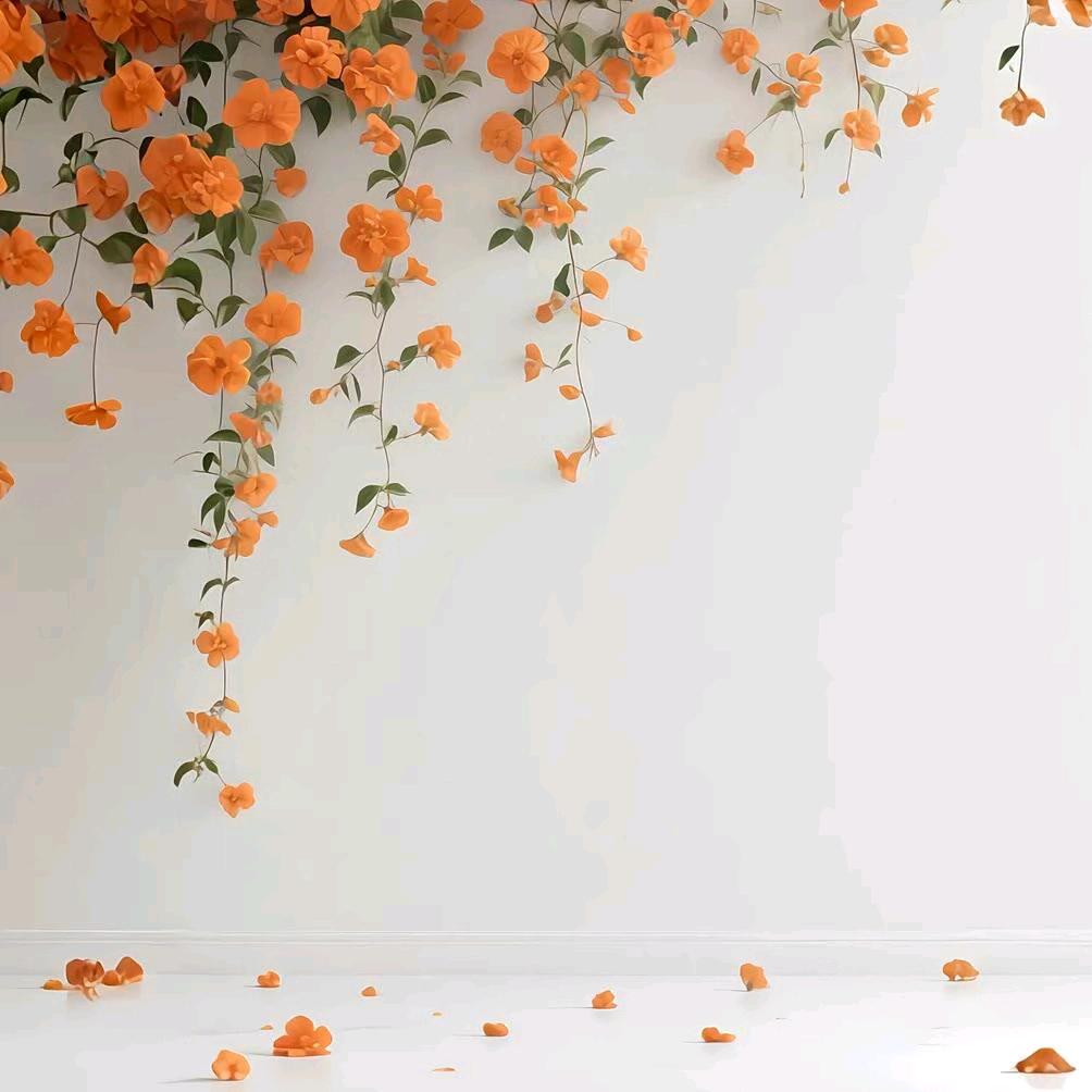张二妹
