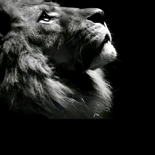 自强不息，厚德载物