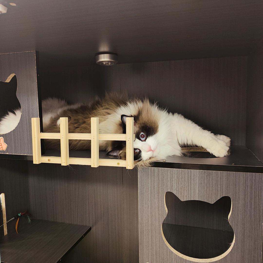 小房子（见过JJ版）