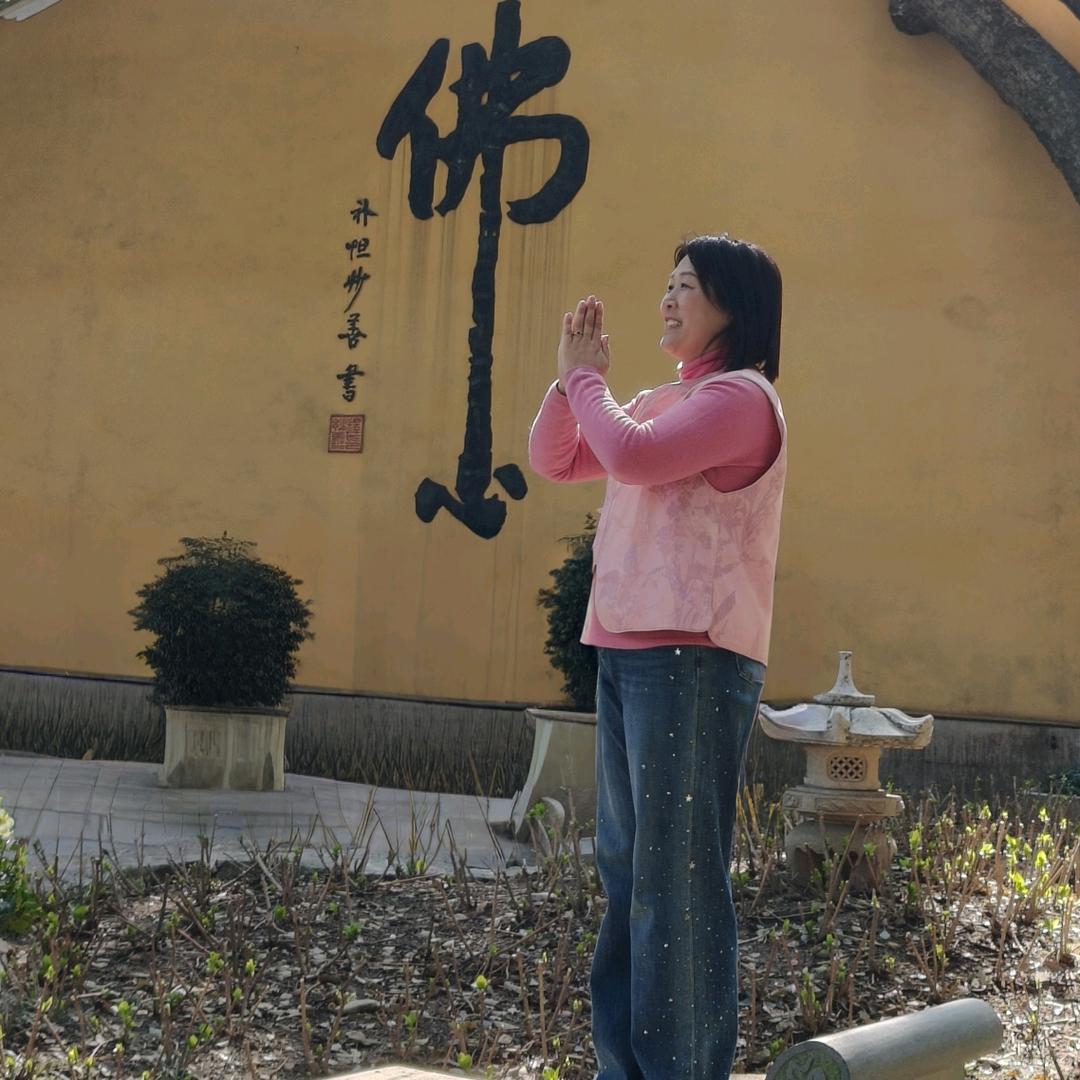 心静若莲《橱窗有好物》