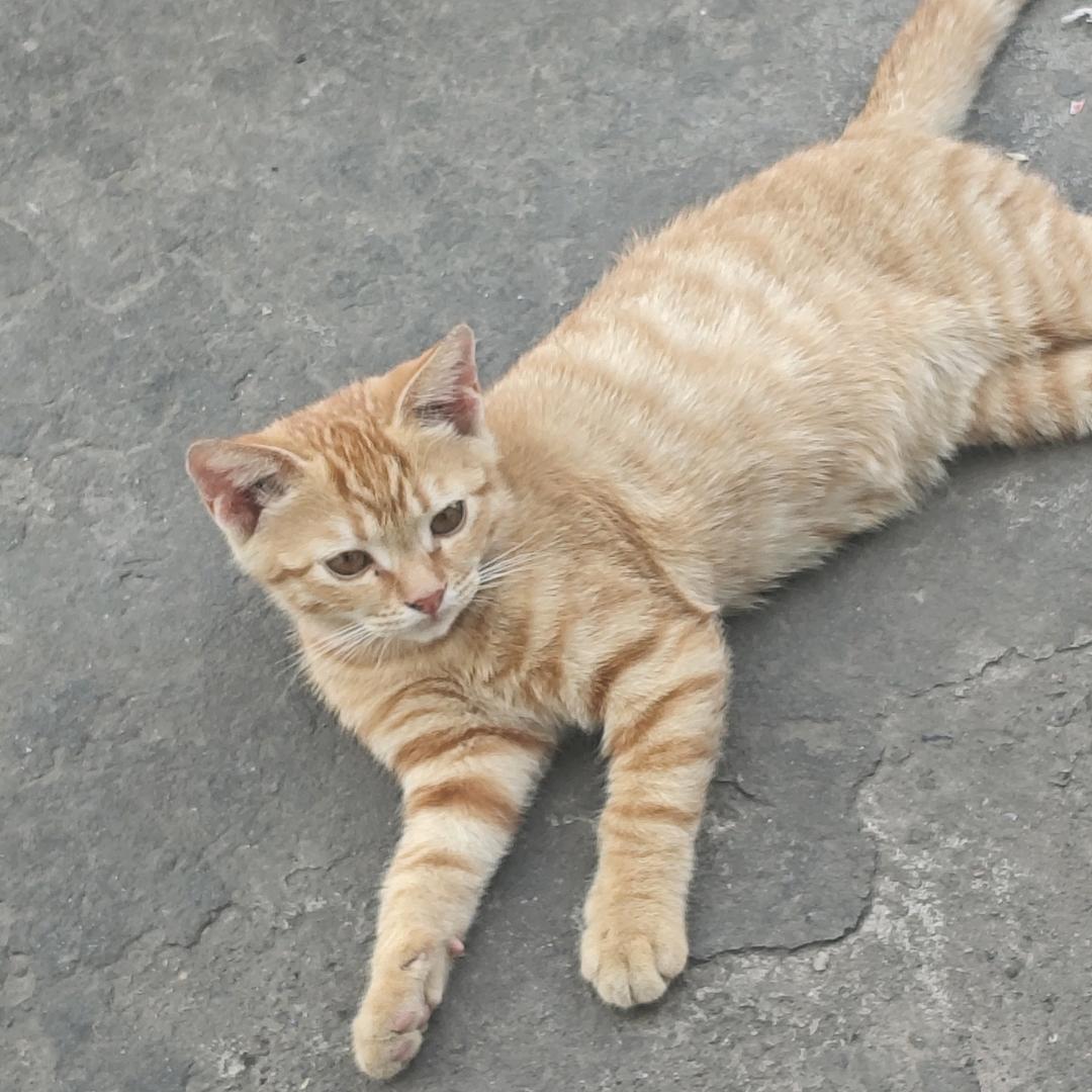宁静致远