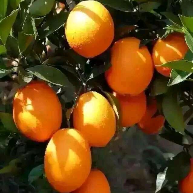 相识