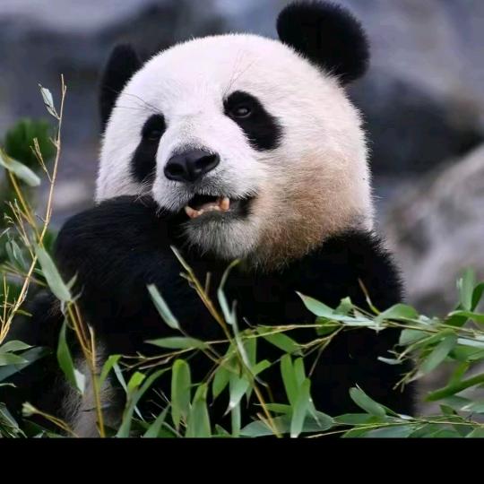 已过期