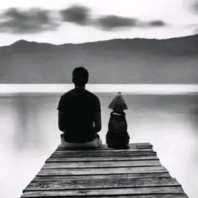 啊呜，一大口！