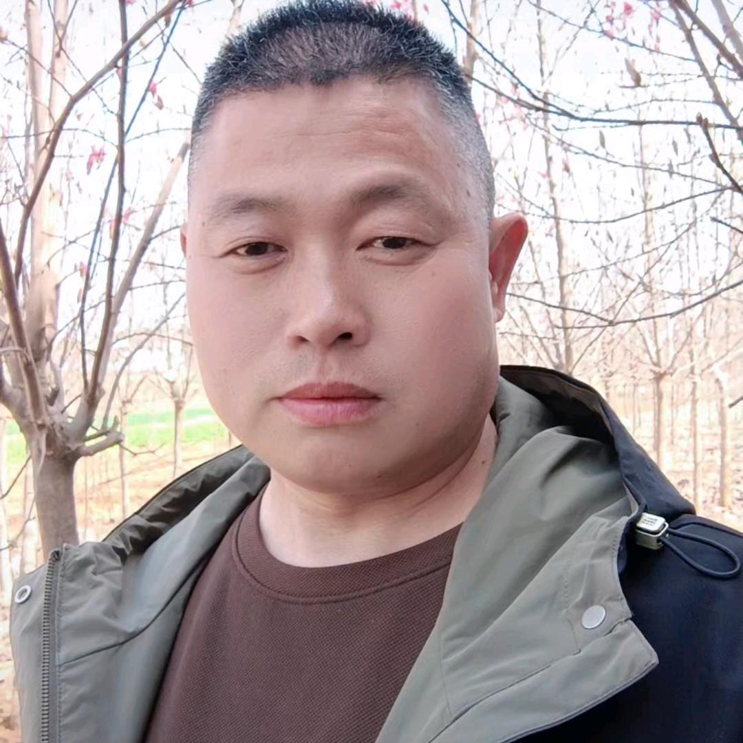 南召小贾