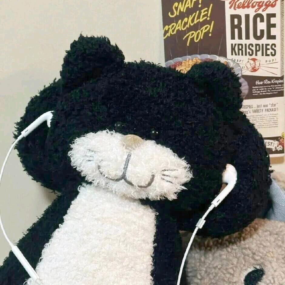 可乐鸡翅不加鸡翅