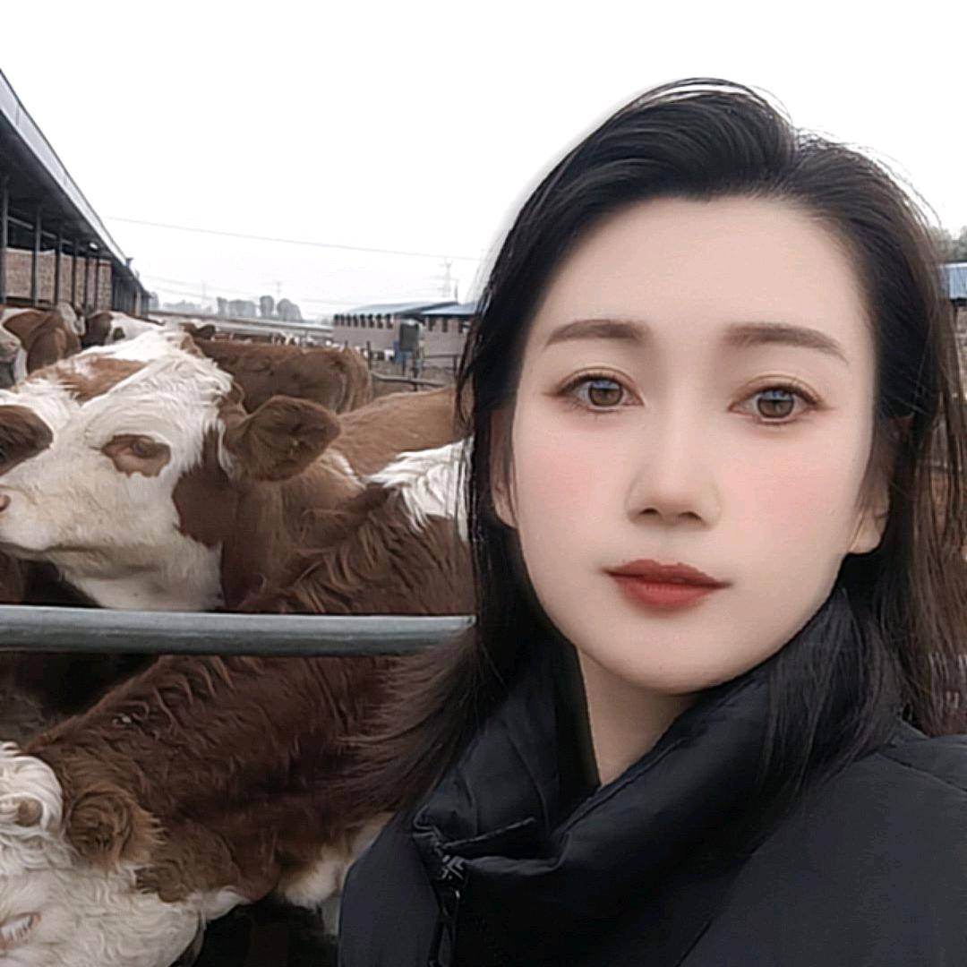 牛春花（小号）