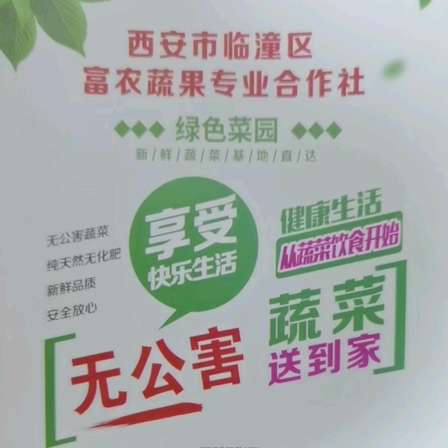 富茜秾生鲜供应链