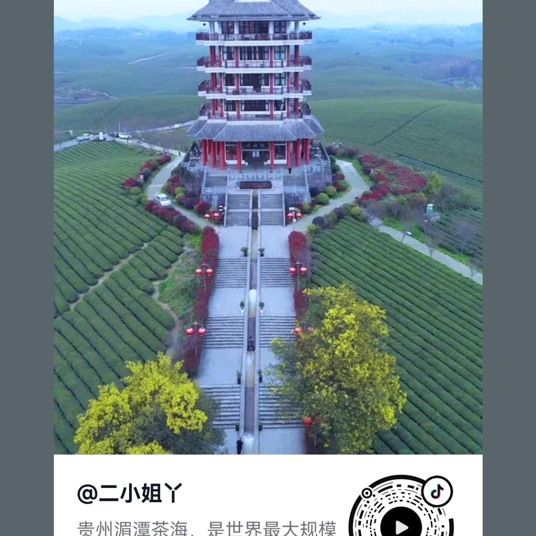 小米哥