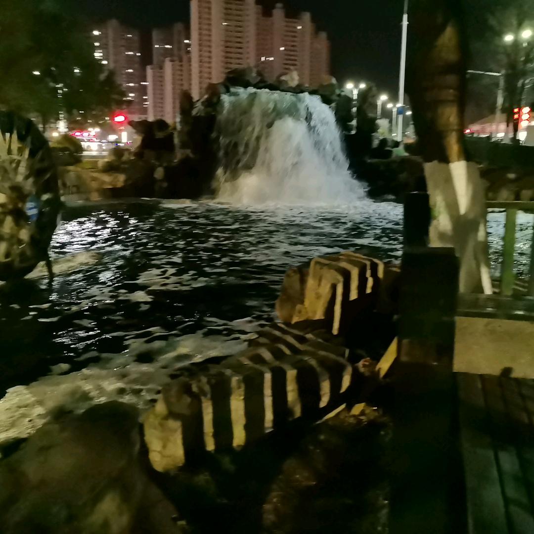 孤雁南飞