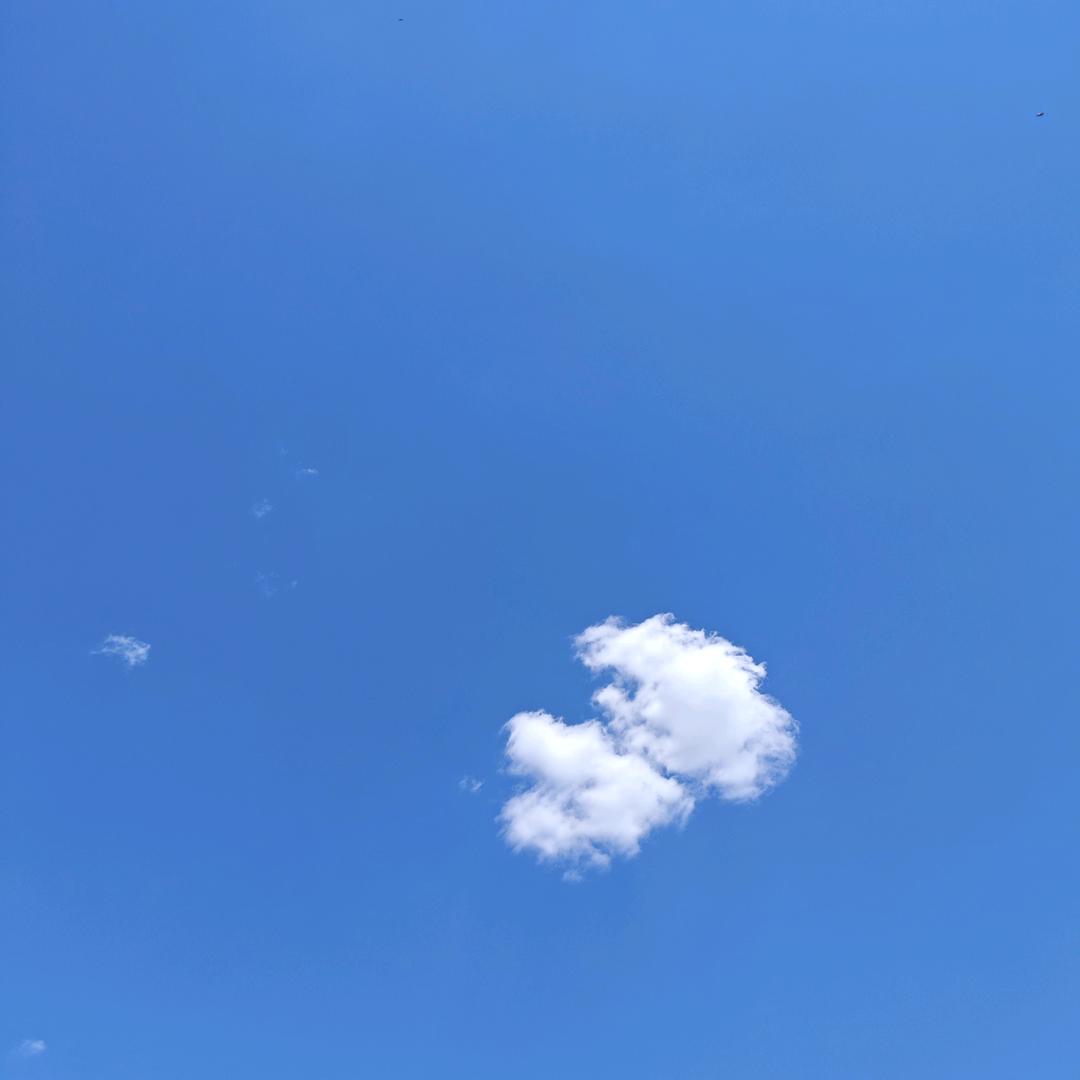 斯泰欧