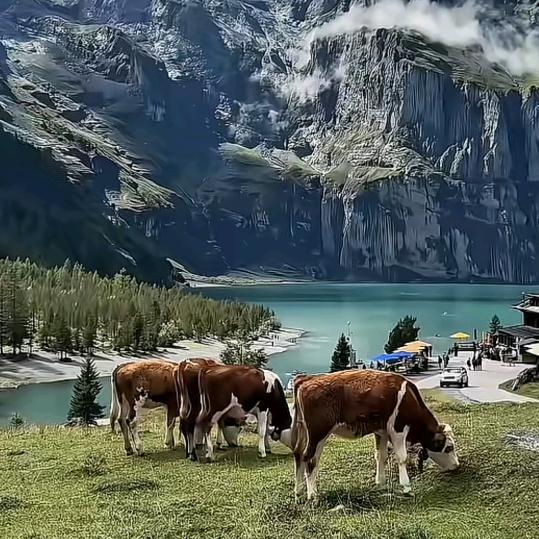 西安全屋整装阿星