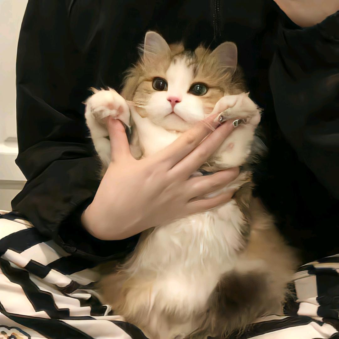 3F精品时尚女鞋店