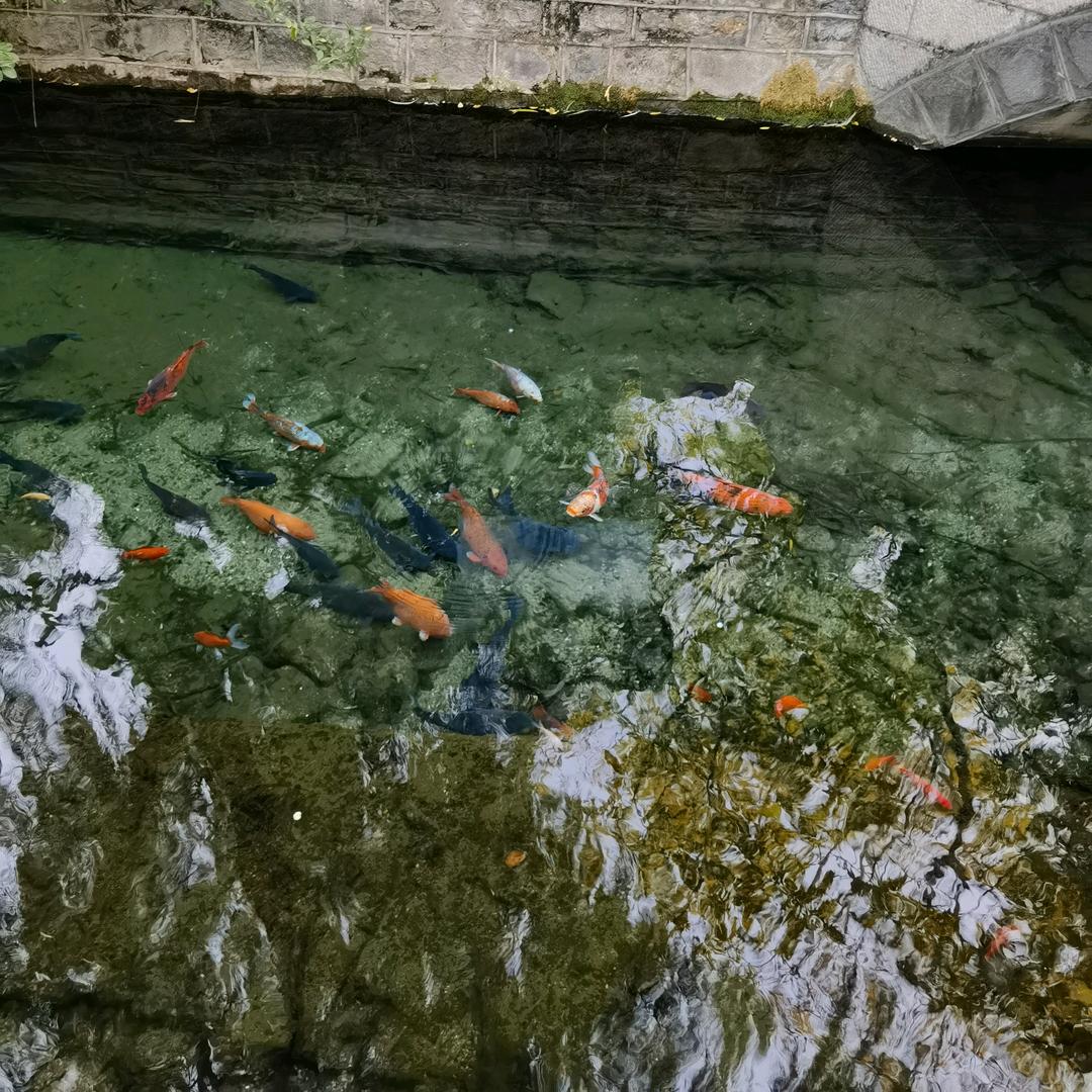 潮流书法家