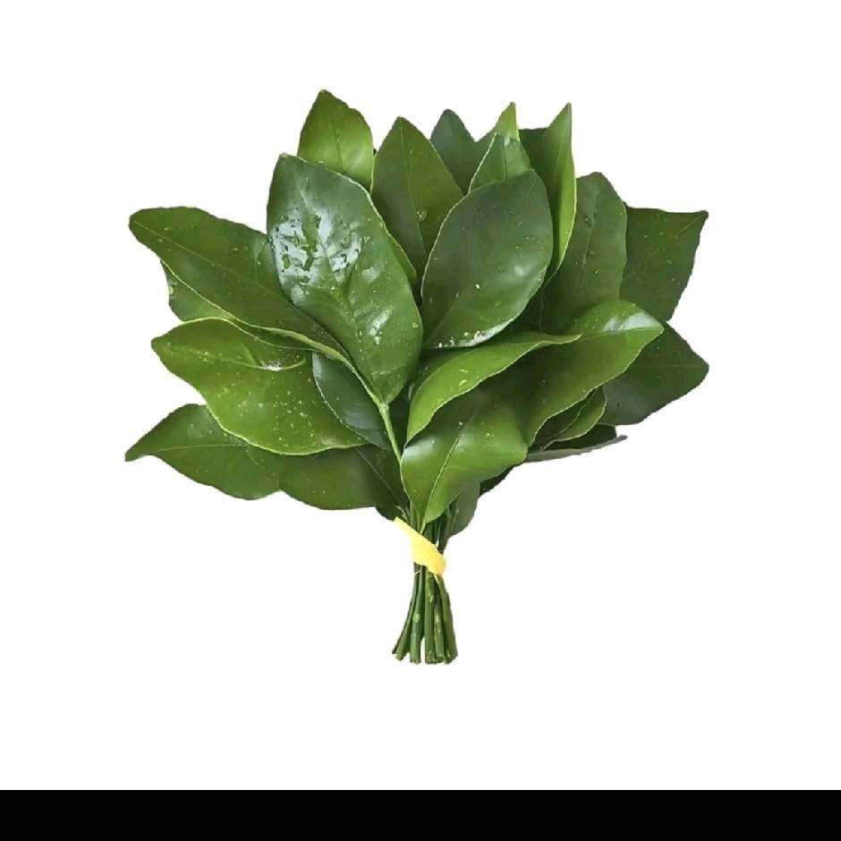 凌晨两点半