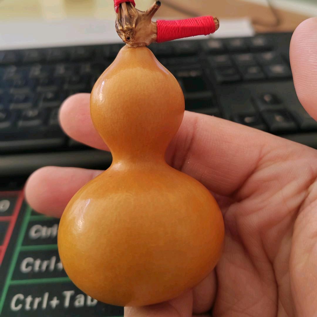 奋斗的小王儿