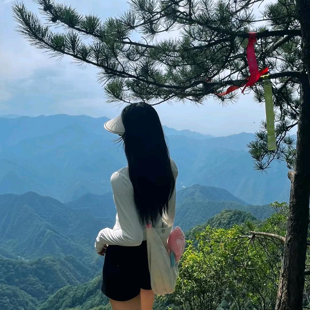 小新新吶