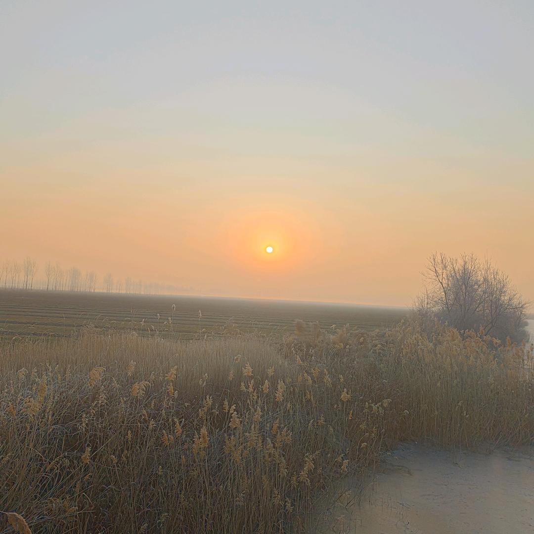 了辛.爆汁烤冷面