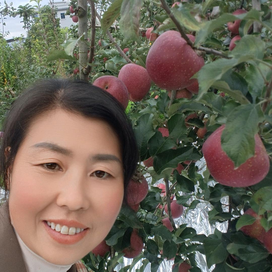 昭通苹果小郑