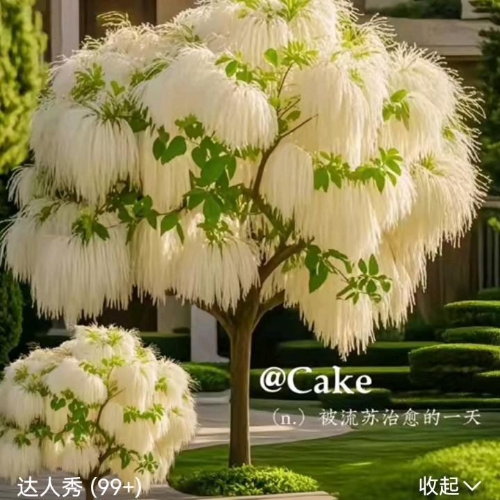 寒烟