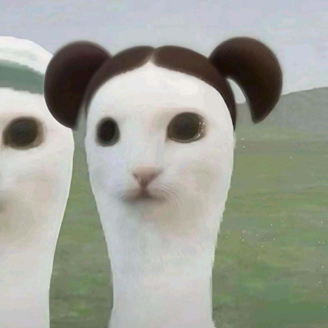 青椒炒蟑螂