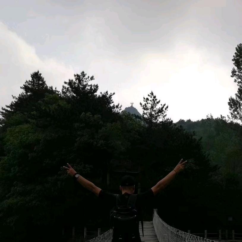 Z洪磊