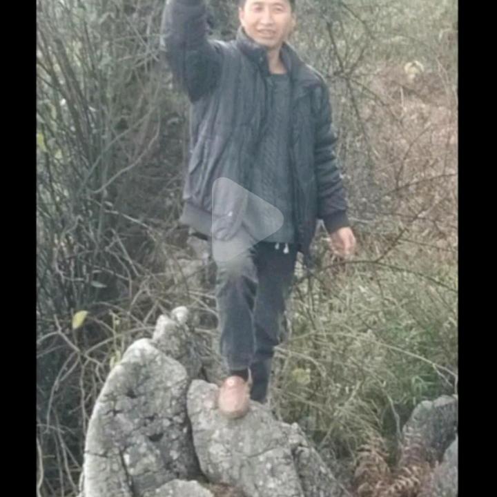 经曲点人生