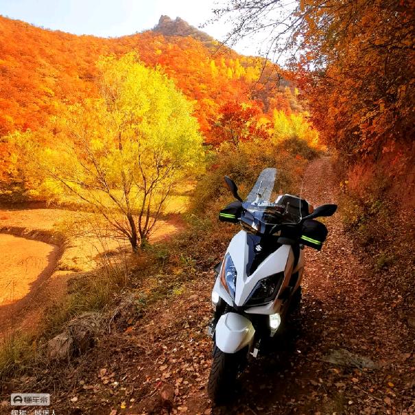 Try（三角洲跑刀）