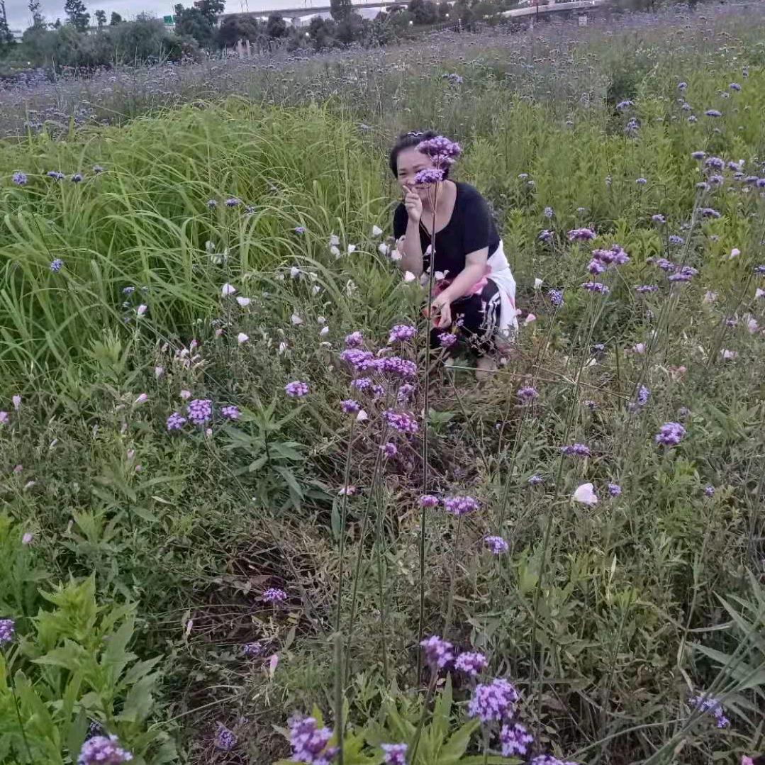 正能量😄邹