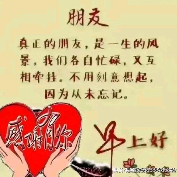 海阔天空☕️☕️