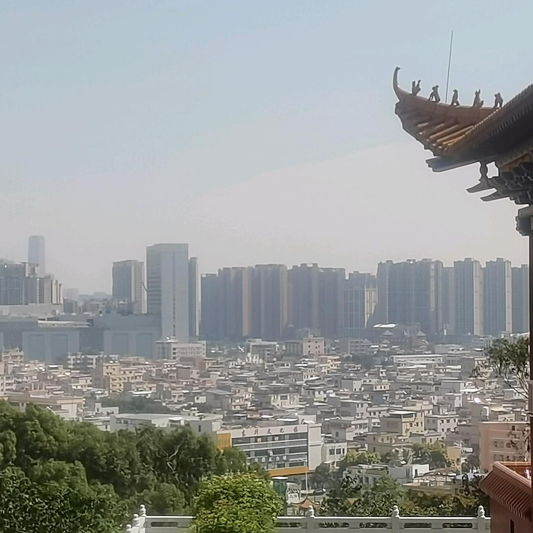 孤独的开心果