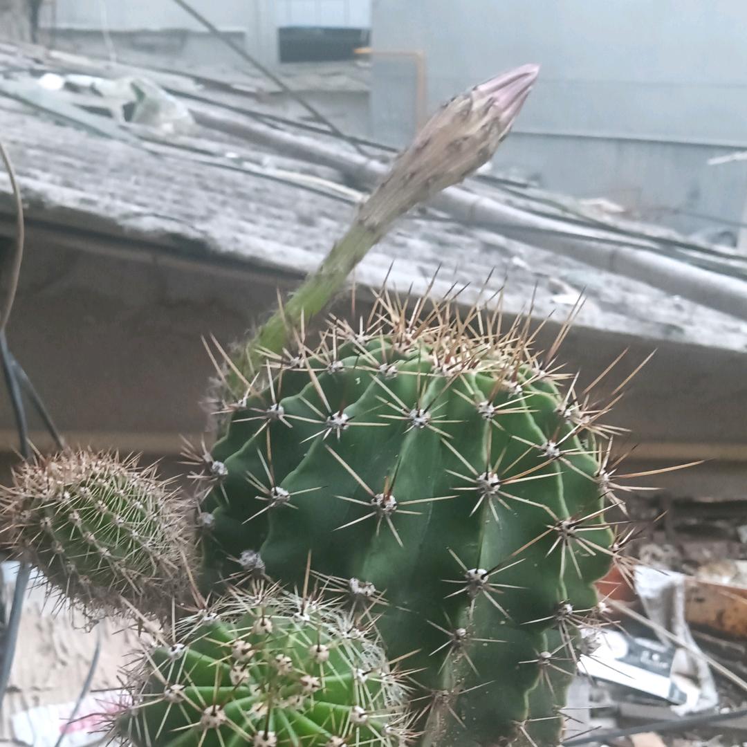 用户1917227060682平平淡淡