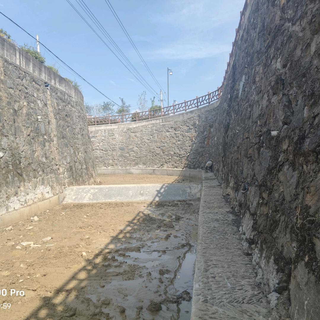 叶子上的一片雨滴