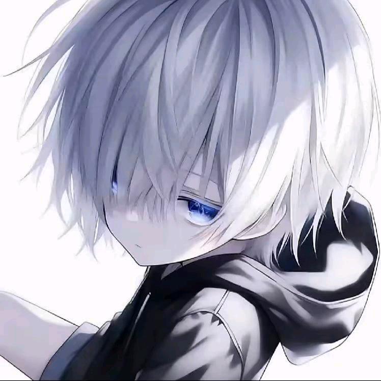 少川（自定义）