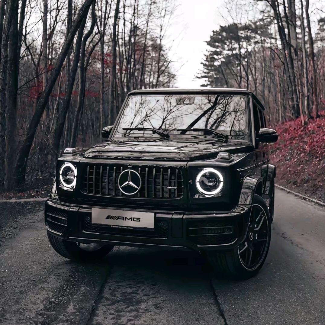 随风很烦（休息中）