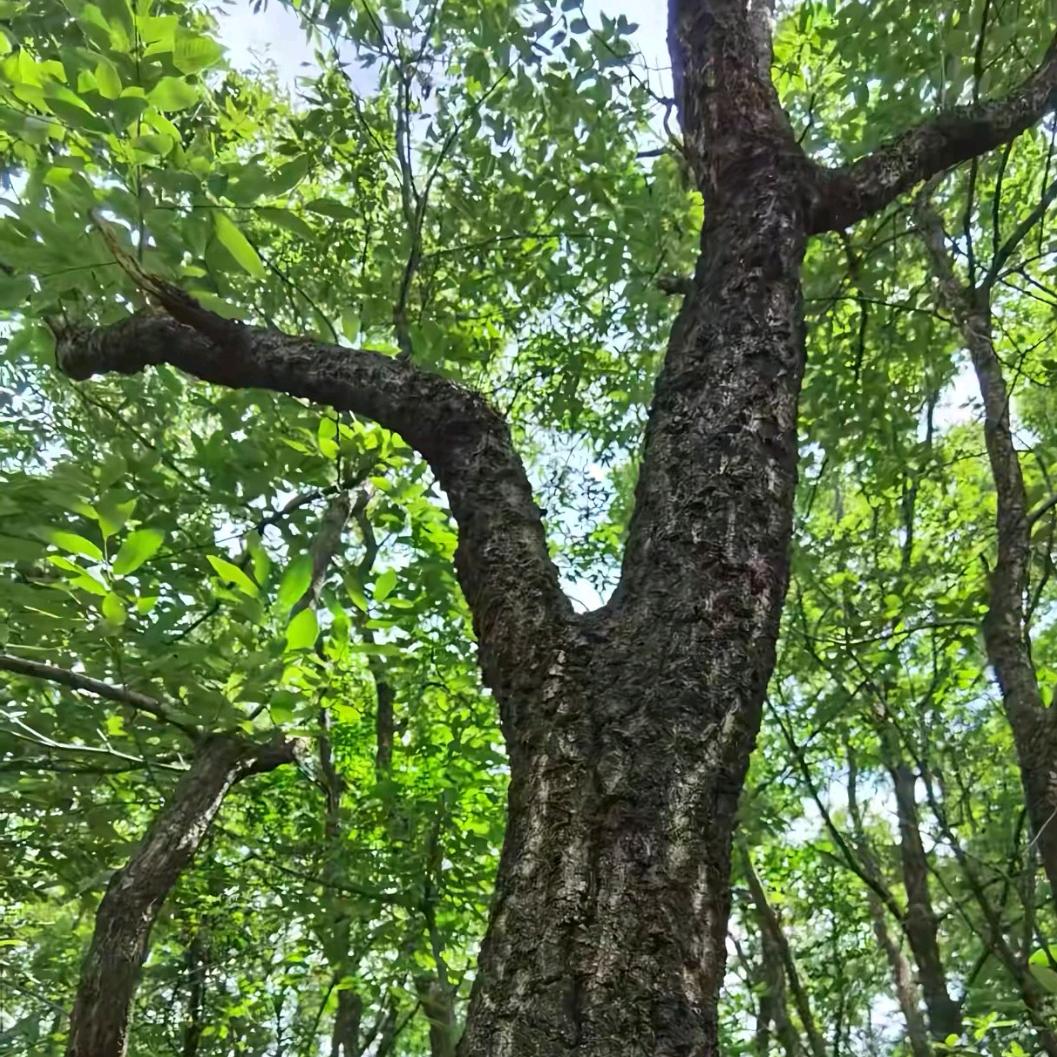 云滇农产山货