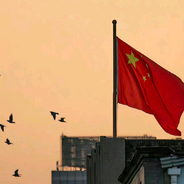 不是你的AD钙