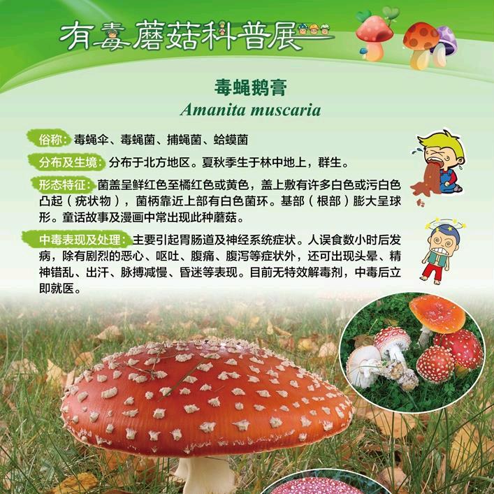 陈伟伟