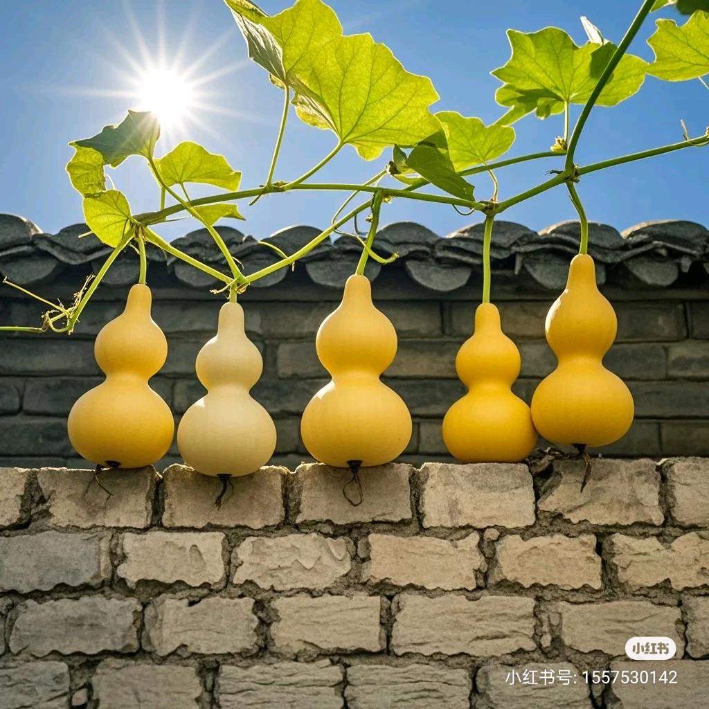 木易茗