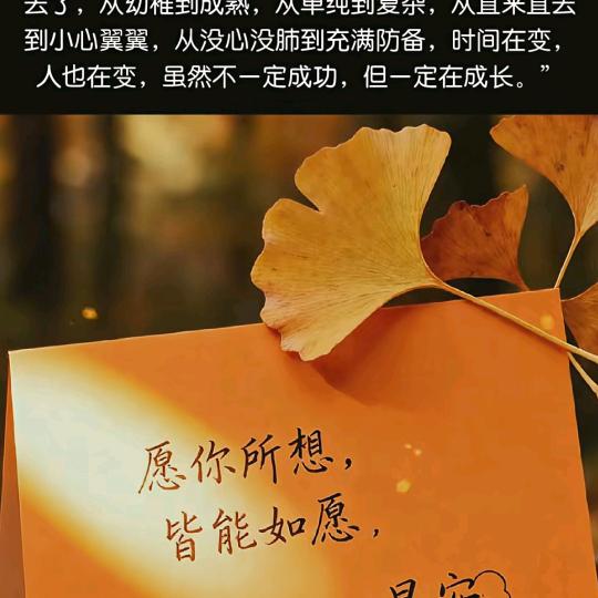 O(∩_∩)O 莲  花   渡