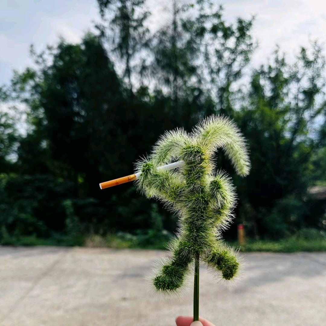 快乐满格……