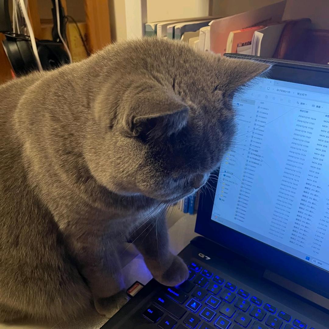 关于爱你和你没关系